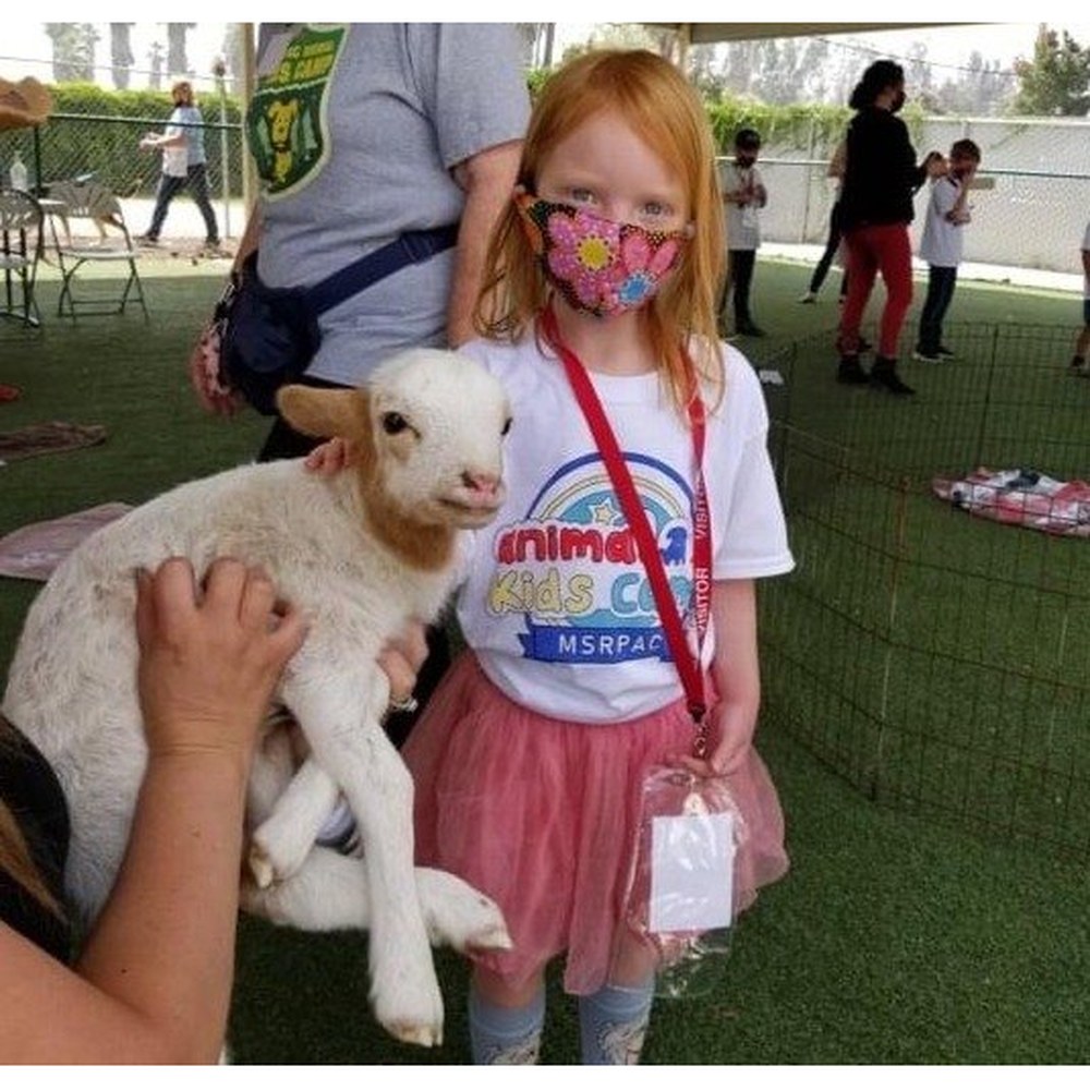 Animal Kids Camp logo printed on a camp t-shirt alongside a friendly illustrated animal character