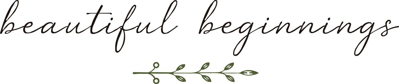 The hand-traced script tagline, beautiful beginnings, shown at large size with the sprig above it